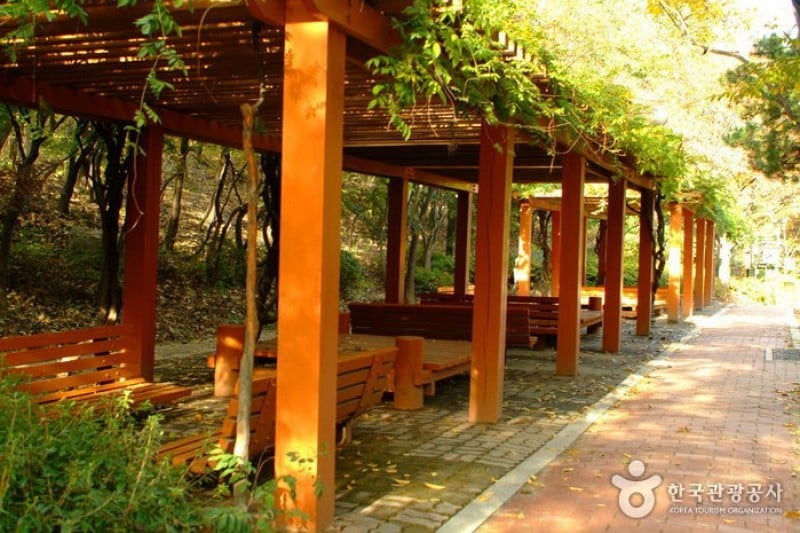 清潭公園 (5/17)