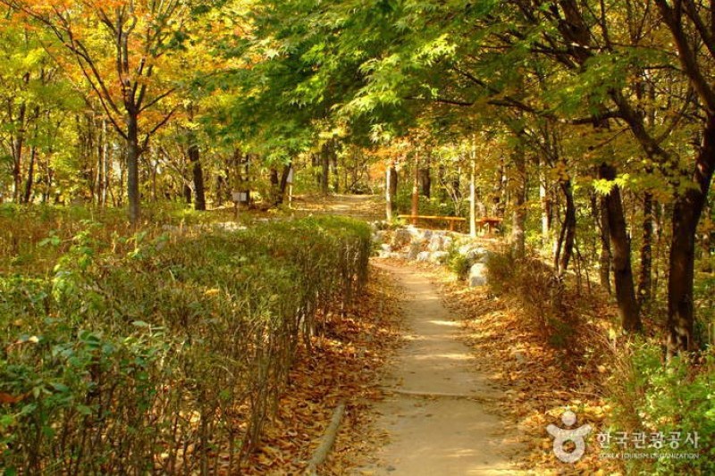 清潭公園 (10/17)