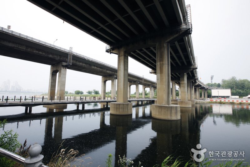 炭川（탄천） (3/7)