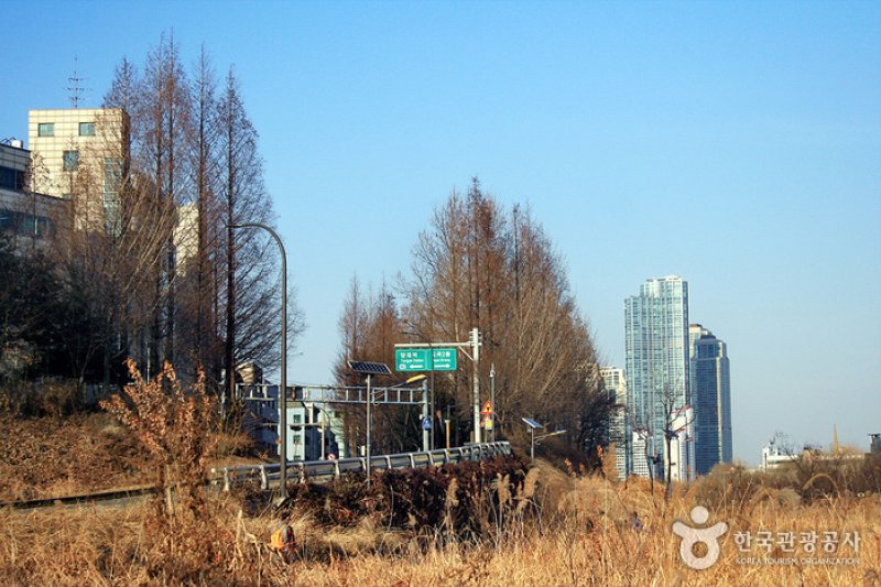 良才川生態公園（양재천 생태공원） (1/4)