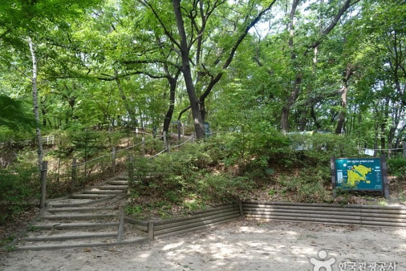 梧桐近隣公園 (1/8)