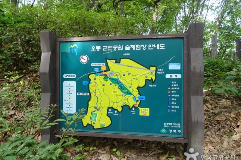 梧桐近隣公園 (2/8)