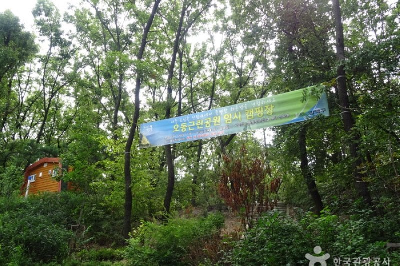 梧桐近隣公園 (3/8)