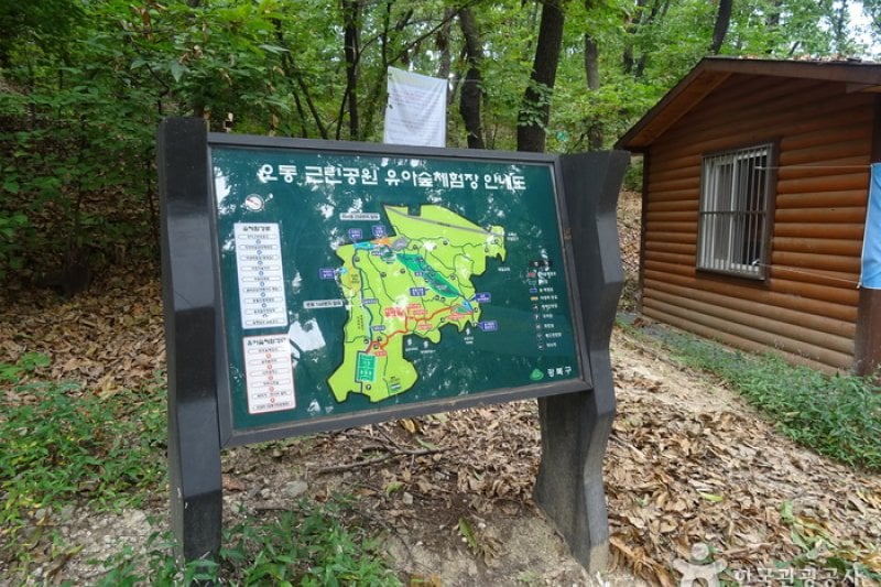 梧桐近隣公園 (4/8)