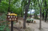 梧桐近隣公園