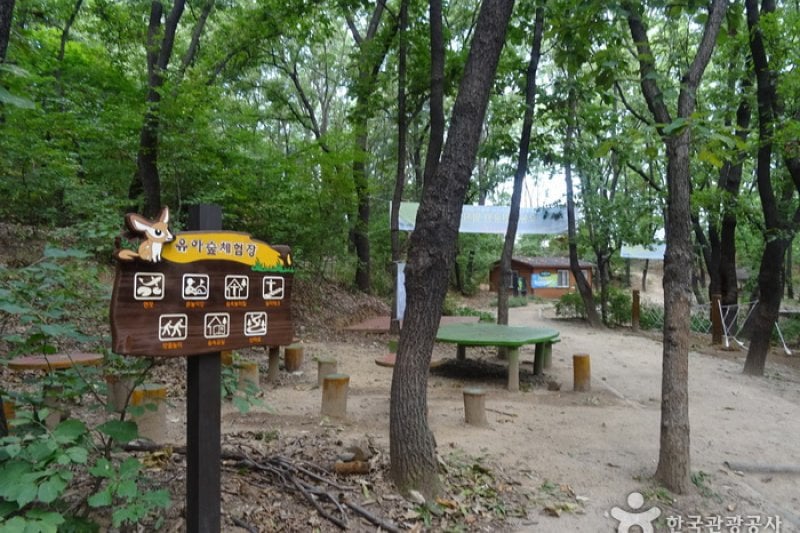梧桐近隣公園 (6/8)