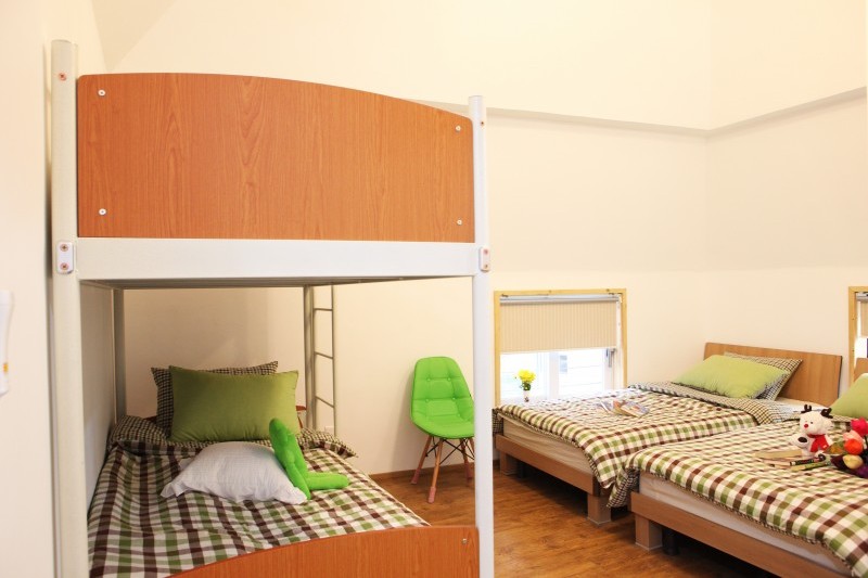 ハト (4/7)