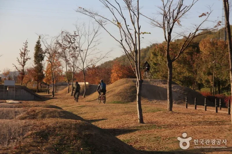 蘭芝漢江公園ＭＴＢコース (5/5)