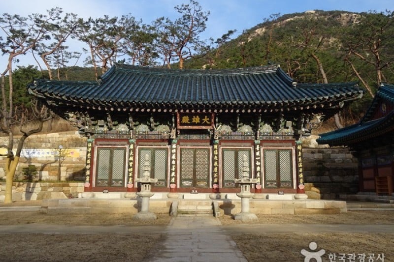 津寛寺 (1/11)