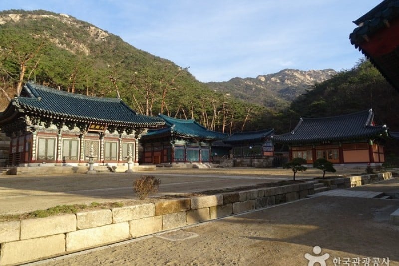 津寛寺 (4/11)