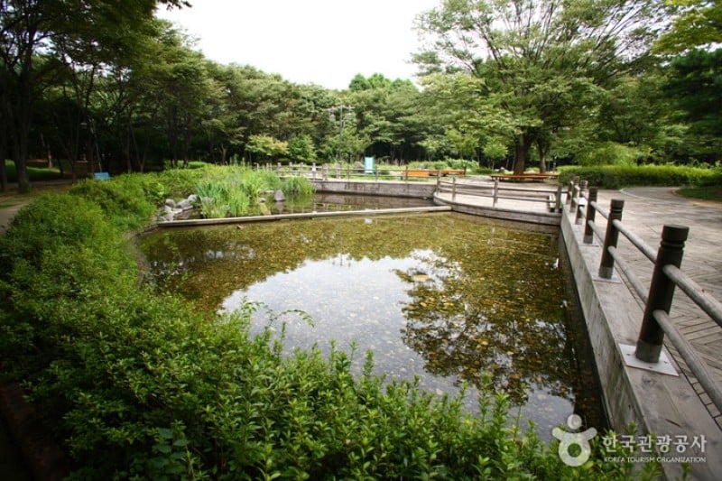 良才市民の森 (4/85)