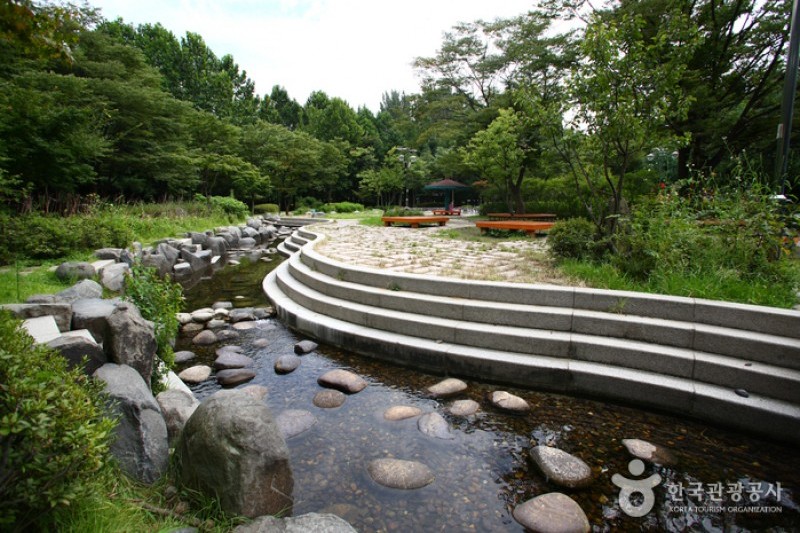 良才市民の森 (8/85)