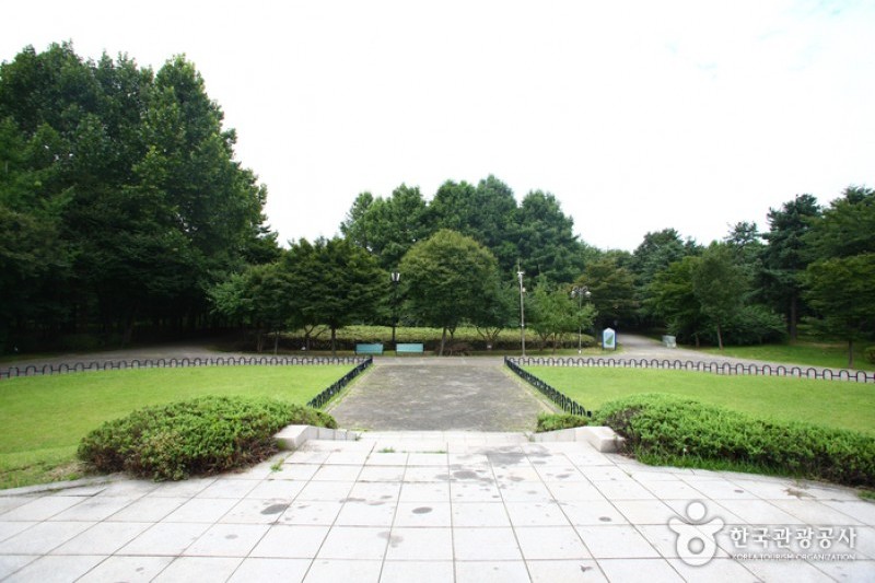 良才市民の森 (35/85)