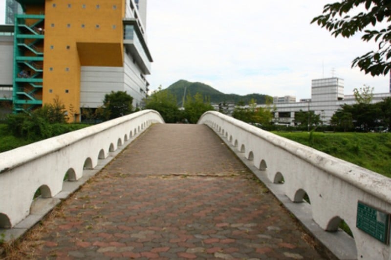 良才市民の森 (47/85)