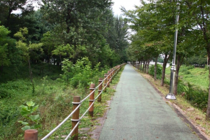 良才市民の森 (53/85)