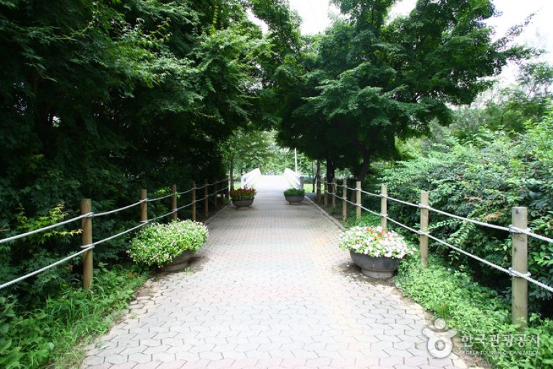 良才市民の森 (60/85)