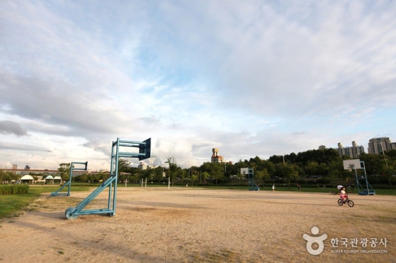 漢江市民公園 楊花地区 (1/6)