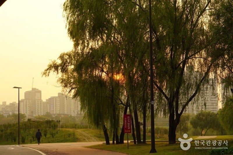 漢江市民公園 楊花地区 (4/6)