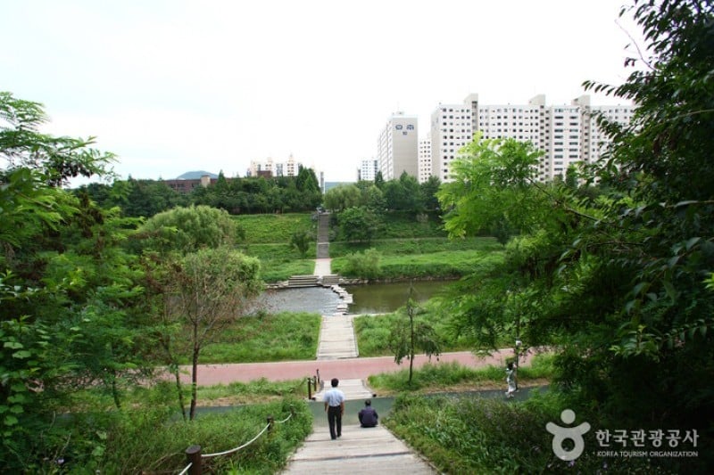良才川の道（양재천길） (1/9)