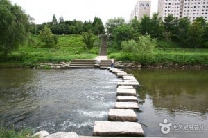 良才川の道（양재천길）