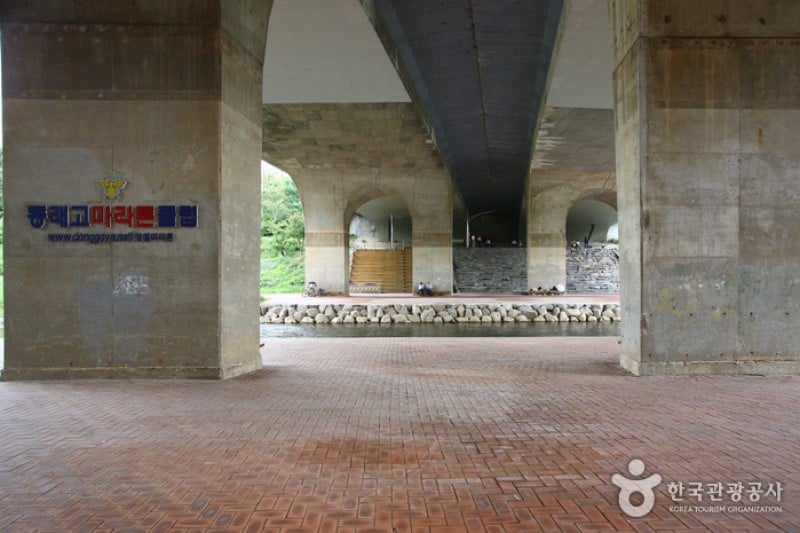 良才川の道（양재천길） (4/9)