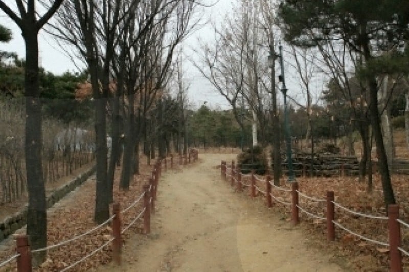孝昌公園 (9/10)
