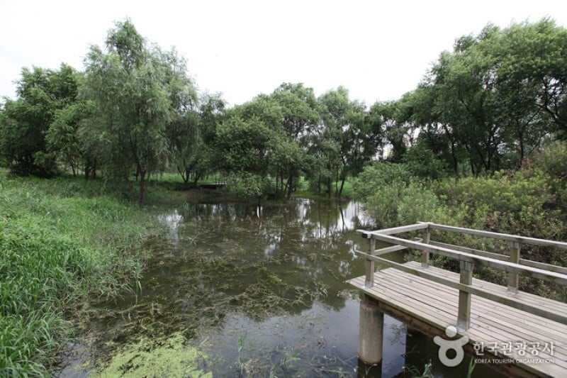 汝矣島セッカン生態公園（여의도샛강생태공원） (2/12)