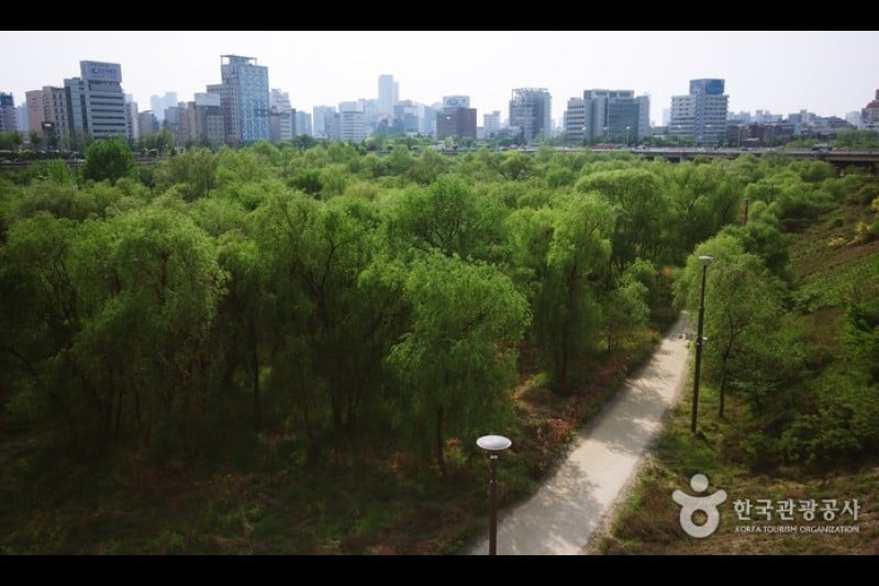 汝矣島セッカン生態公園（여의도샛강생태공원） (10/12)