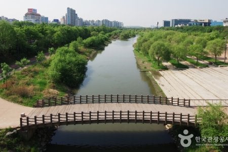 汝矣島セッカン生態公園（여의도샛강생태공원）