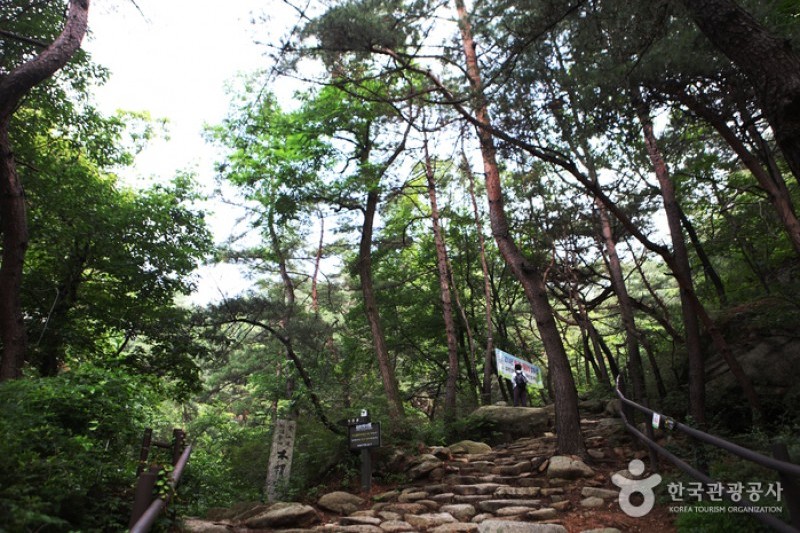 金仙寺（ソウル）（금선사 (2/13)