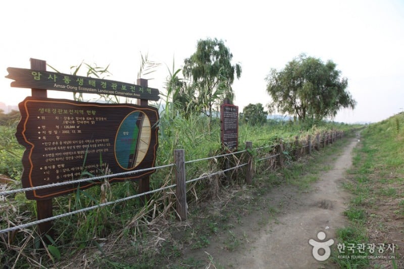 漢江市民公園 クァンナル地区 (2/6)