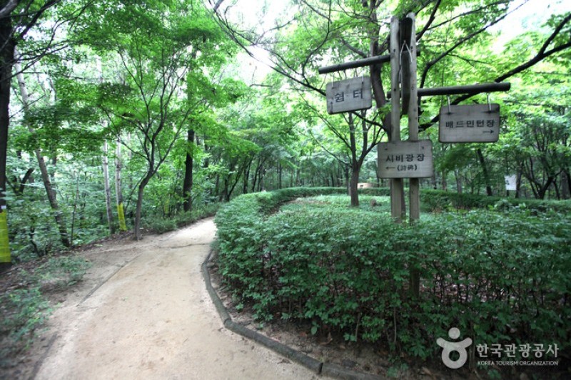 清潭公園 (13/17)