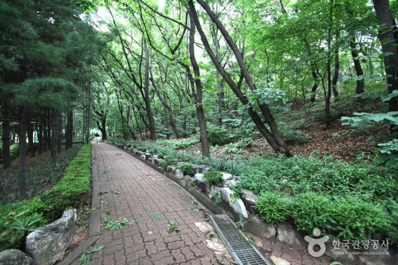 清潭公園 (15/17)