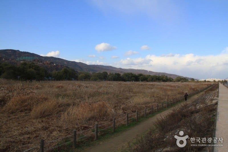 岩寺トゥンチ生態公園 (2/4)