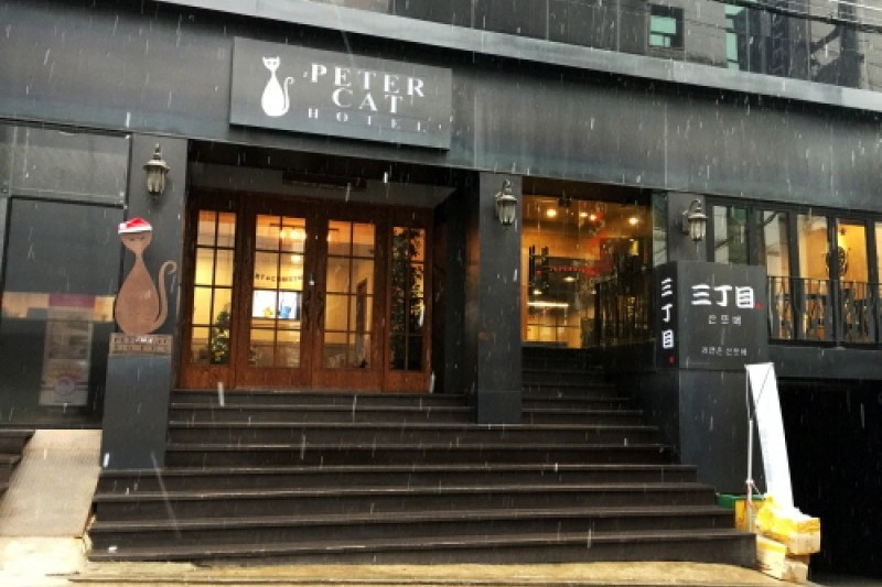 Peter Cat Hotel - Goodstay  (13/15)