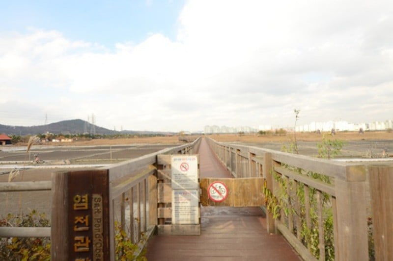蘇来湿地生態公園 (1/2)