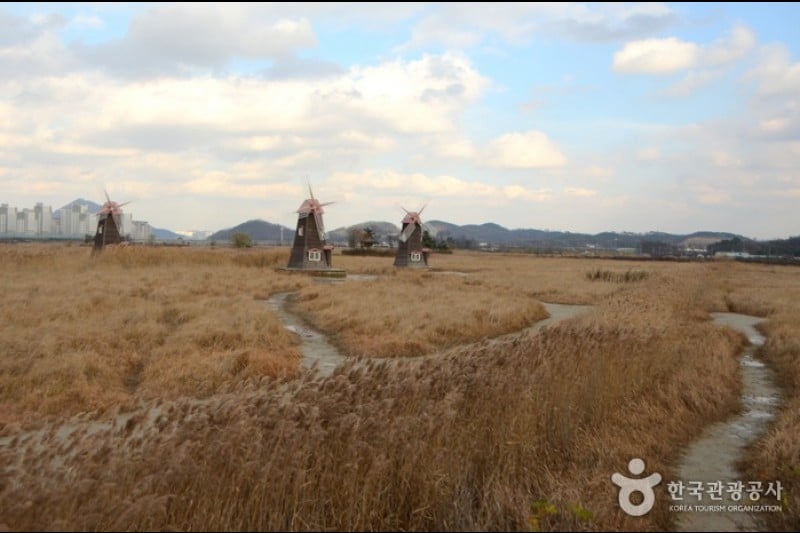 蘇来湿地生態公園 (2/2)