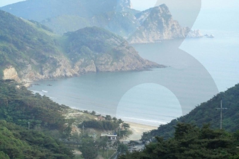 大青島 (4/48)