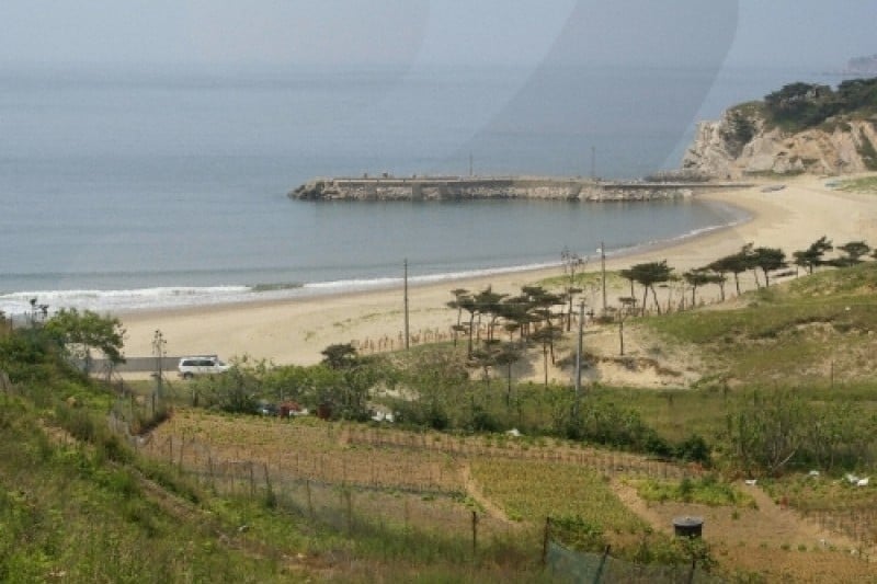 大青島 (6/48)