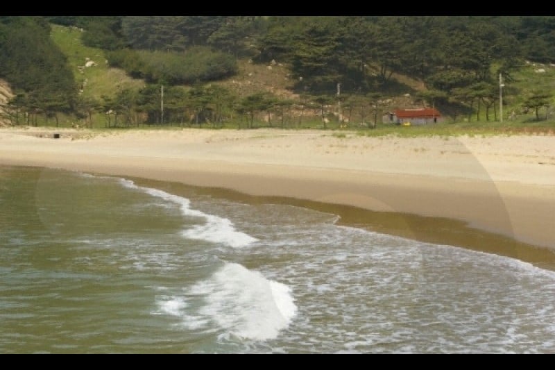 大青島 (8/48)