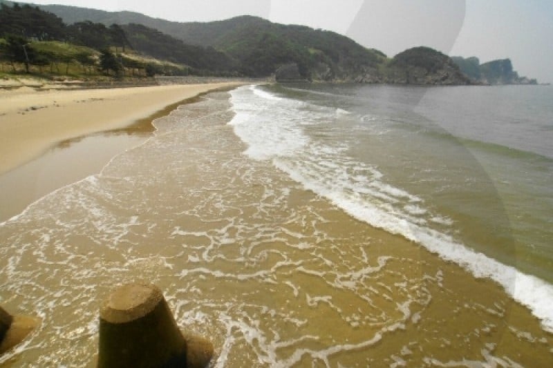 大青島 (10/48)