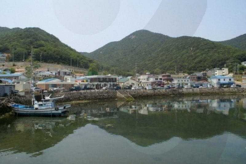 大青島 (11/48)