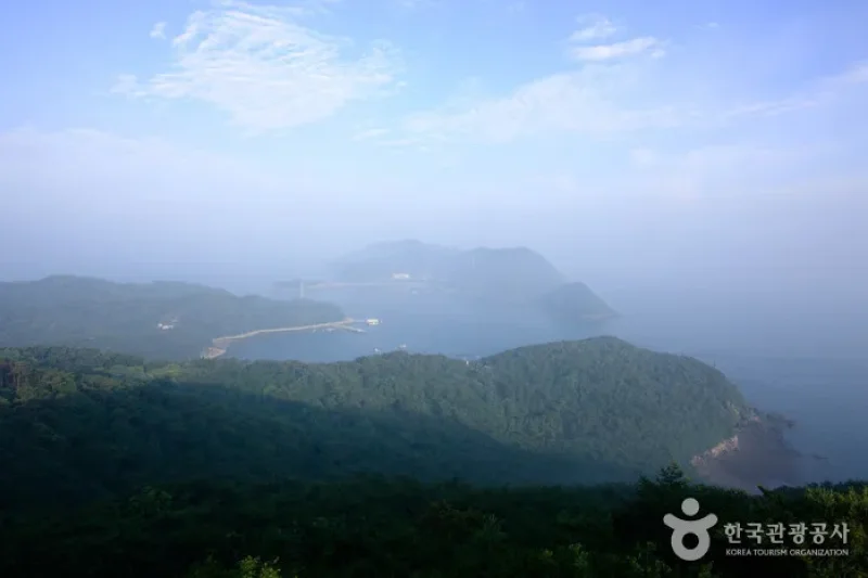 大伊作島（대이작도） (6/8)