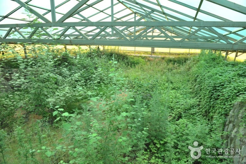 仁川 景西洞 緑青瓷窯址 (1/4)