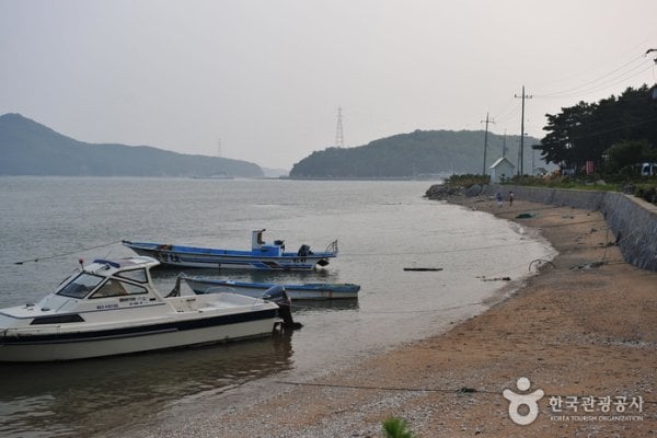 巨蚕浦海岸