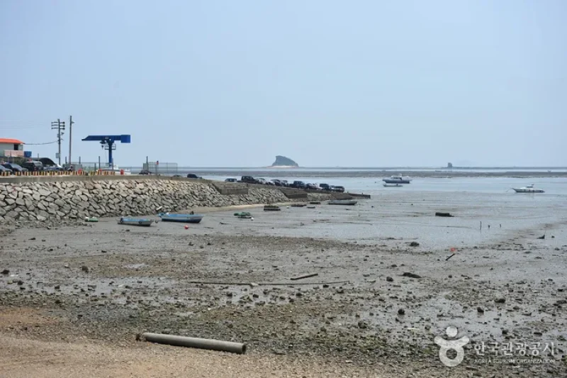 巨蚕浦海岸 (2/7)