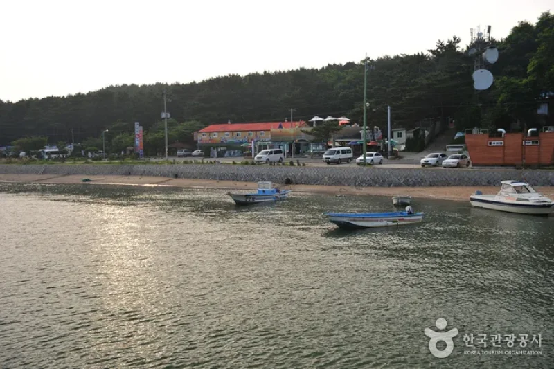 巨蚕浦海岸 (4/7)
