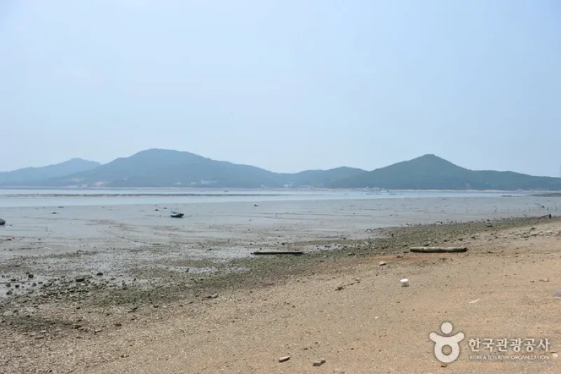 巨蚕浦海岸 (5/7)