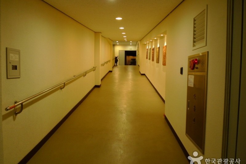 仁川広域市立博物館 (7/24)