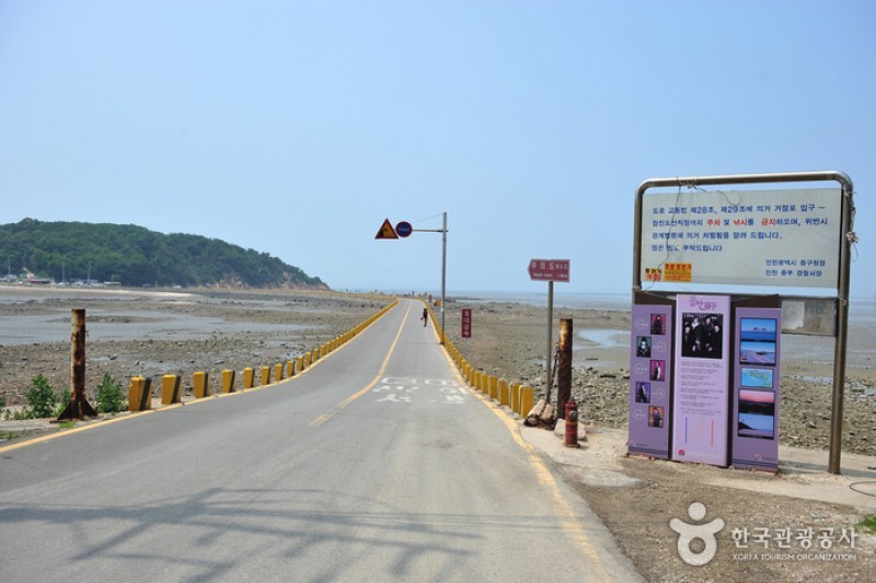蚕津島 (1/7)